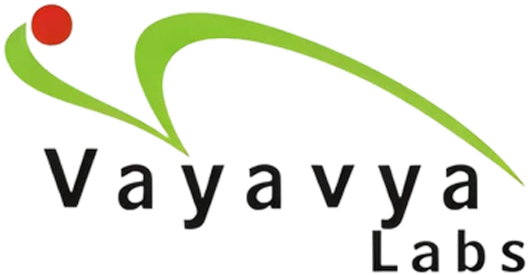 Vayavya Labs Pvt. Ltd.